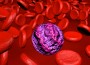 Leucemia mieloide acuta: nuove possibilità terapeutiche da farmaci consolidati