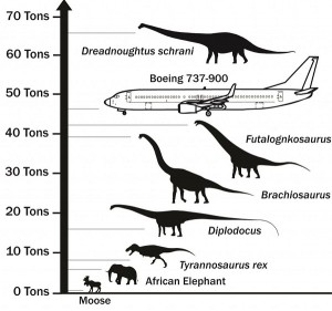 Dreadnoughtus dinosauro