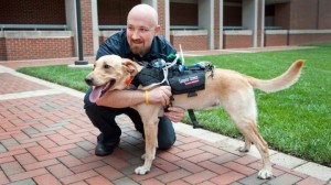Dog-and-Roberts-HEADER-720x405_0