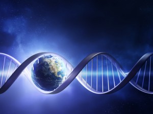DNA nello spazio