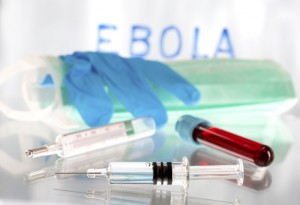 Ebola ricerca