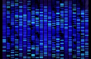 Genoma umano