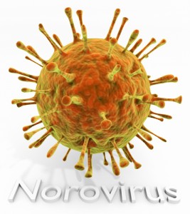 Norovirus