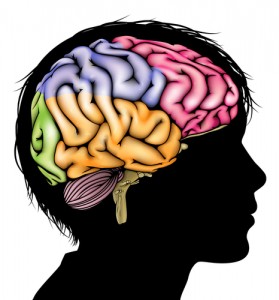 Cervello colorato