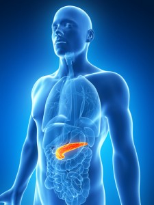 Pancreas