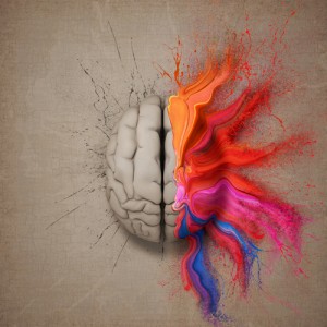 emisfero sinistro cervello