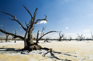 cambiamenti climatici