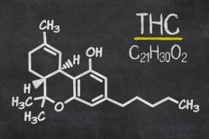 tetracannabinolo