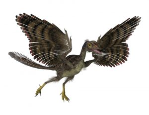 uccello preistorico