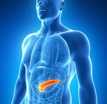 Tumore del pancreas: AIFA approva rimborsabilità di olaparib