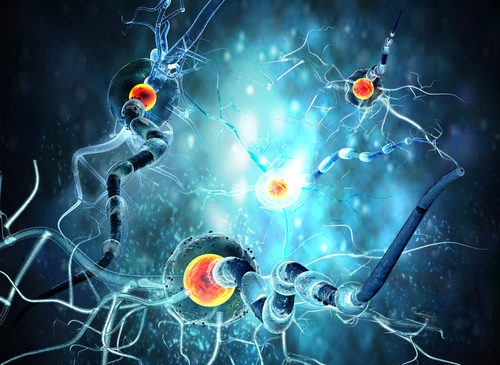 Sclerosi multipla recidivante: fenebrutinib mostra efficacia su ricadute e disabilità