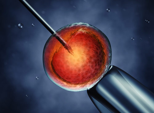 Fecondazione in vitro. Studio italiano suggerisce valore soglia per interpretare immaturità ovociti
