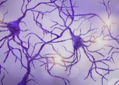neuroni