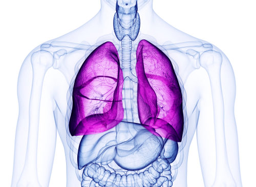 Tumore al polmone: AIFA approva la rimborsabilità della combo osimertinib/chemioterapia