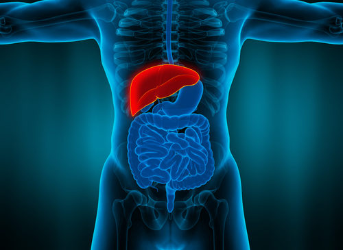 Colangite Biliare Primitiva, da AIFA ok a rimborsabilità di seladelpar