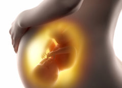 Nell’utero i feti reagiscono a gusto e odore