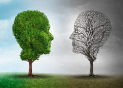 Cervello: neurodegenerazione correlata all’obesità “imita” quella dell’Alzheimer