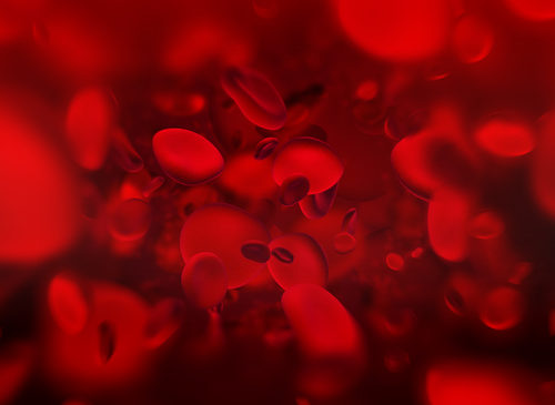 Sindromi mielodisplastiche: CE estende approvazione di luspatercept ai pazienti adulti con anemia trasfusione-dipendente