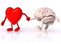 Le patologie cardiache si associano a cambiamenti vascolari nel cervello