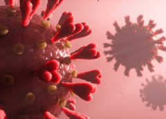 coronavirus