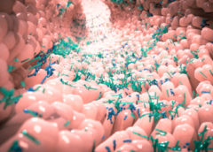microbiota-flora intestinale