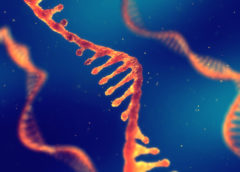 RNA