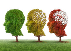 invecchiamento cervello memoria