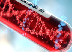 dna sangue