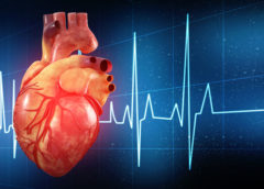 Patologie cardiovascolari, quando a causarle sono metalli pesanti e microplastiche nel terreno