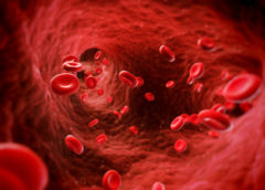 sangue