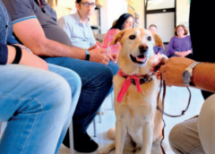 L’Ordine dei Medici Veterinari di Matera vince il Premio Fnovi “Il peso delle cose”